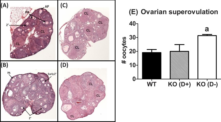 FIG. 6. 