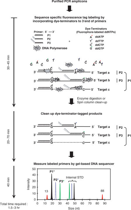 Figure 1.