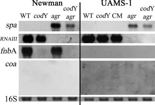 FIG. 7.