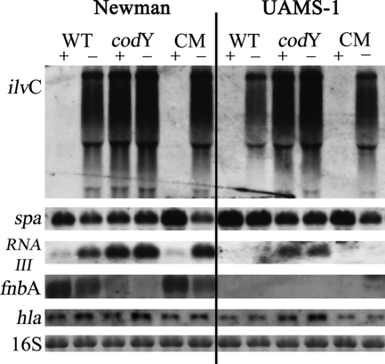 FIG. 5.