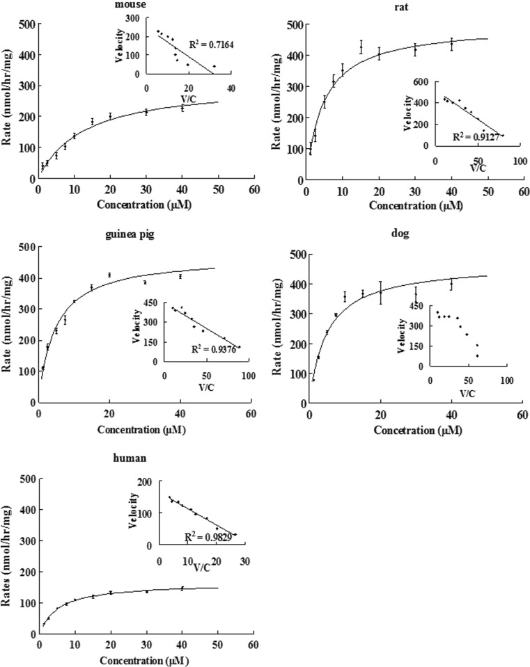 Fig. 7