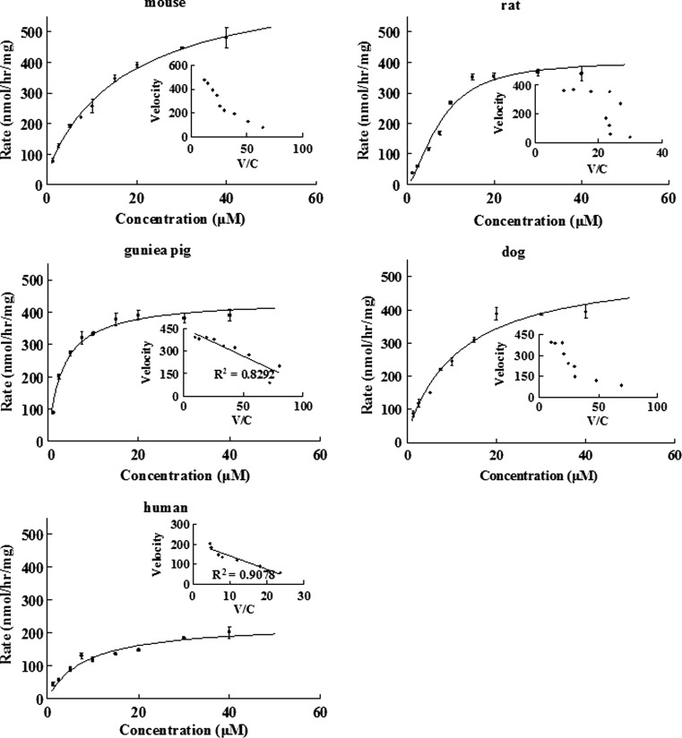 Fig. 6