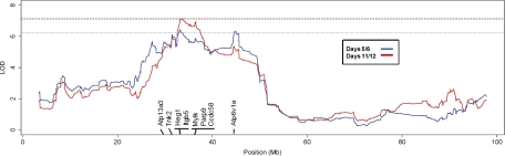 Fig. 6.