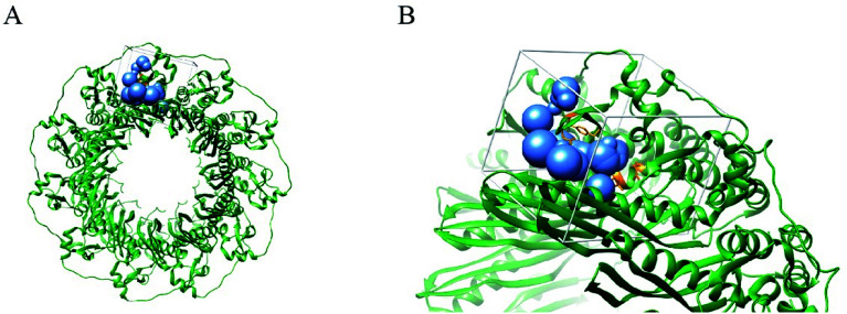 Fig. 1