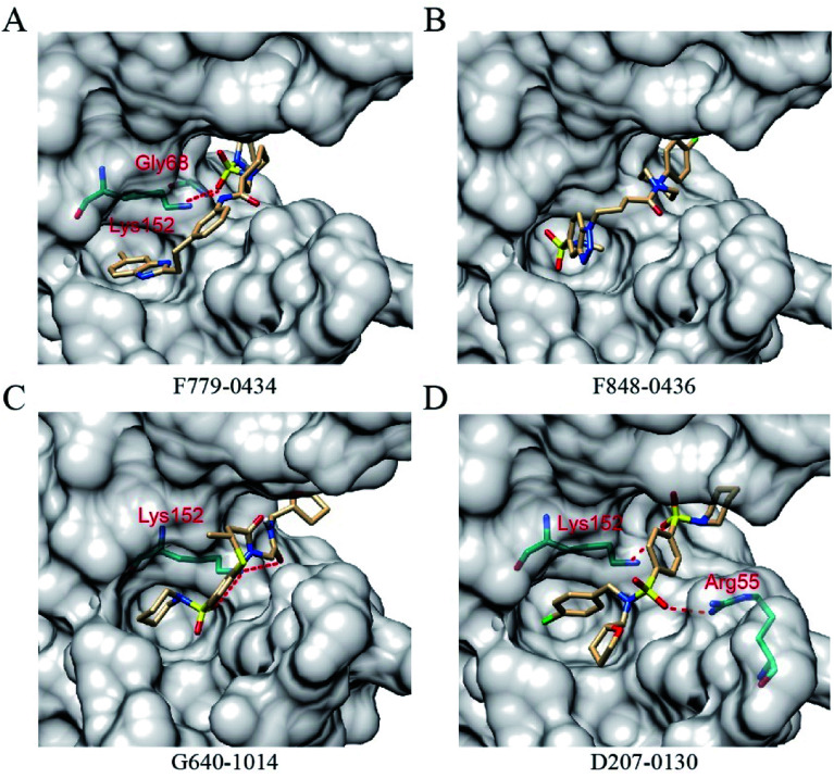 Fig. 2