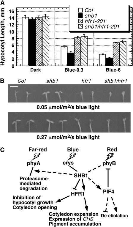 Figure 10.