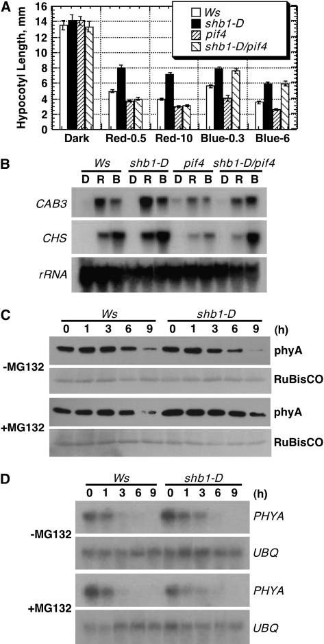 Figure 9.