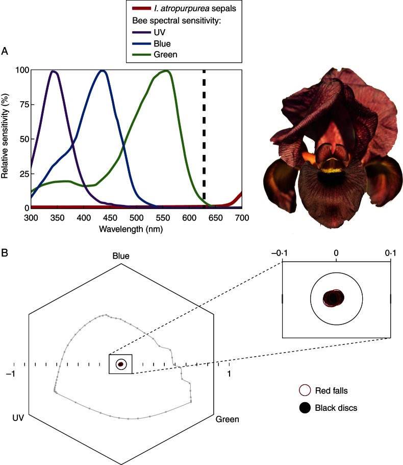 Fig. 5.