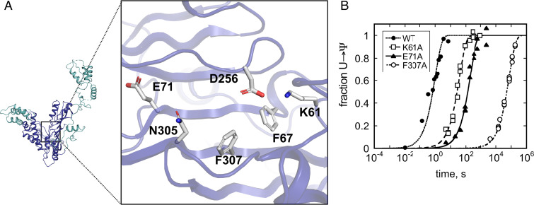 Fig. 2.