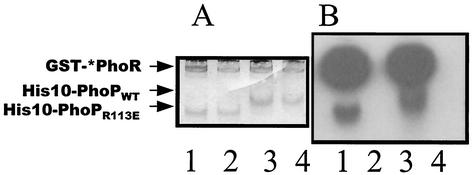 FIG. 8.