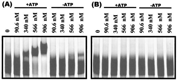 FIG. 10.