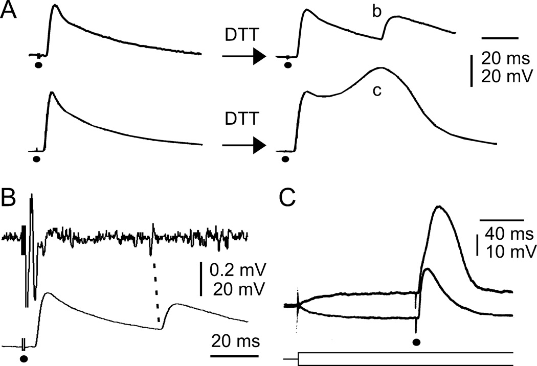 Figure 8