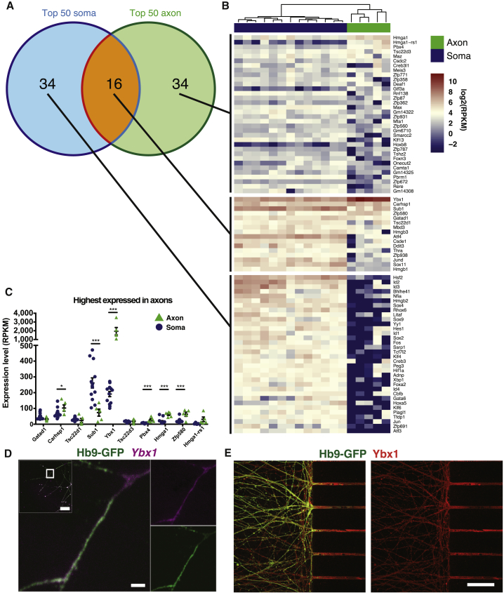 Figure 3