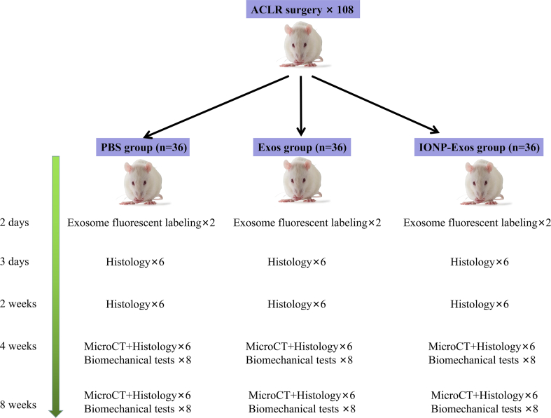 figs1