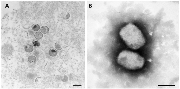 Figure 3.