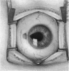 196-2