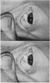 196-2