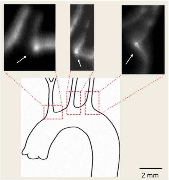 Fig. 3