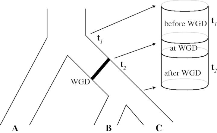 Fig. 8.