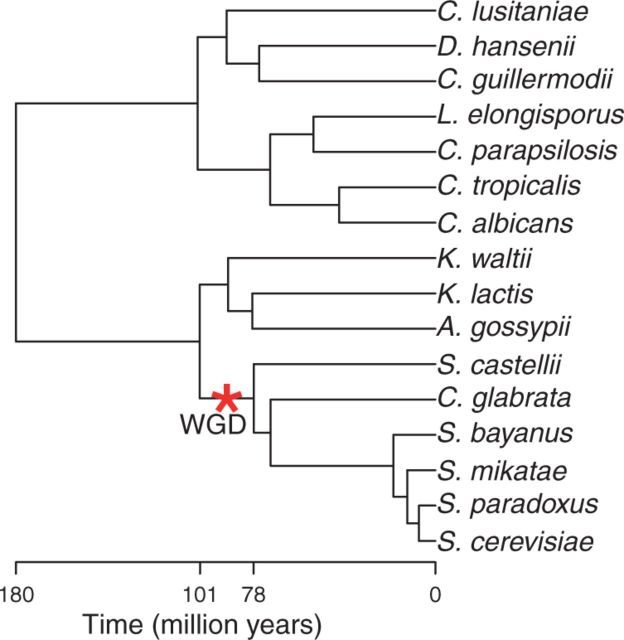 Fig. 10.