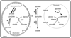 Fig 1.