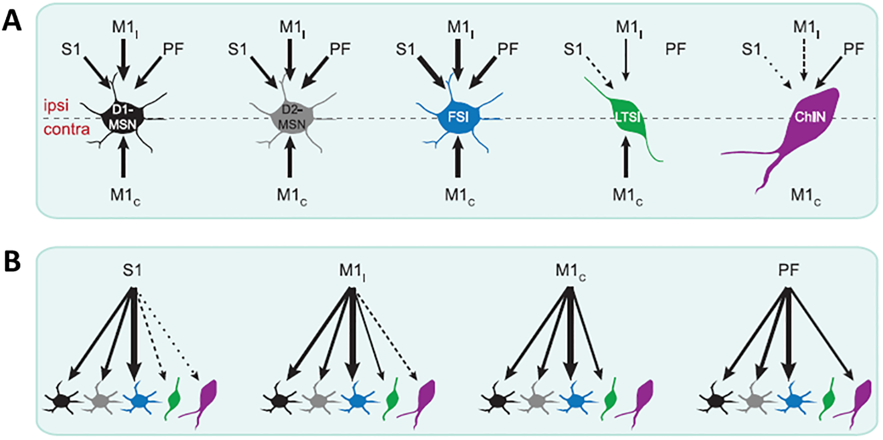 Figure 1: