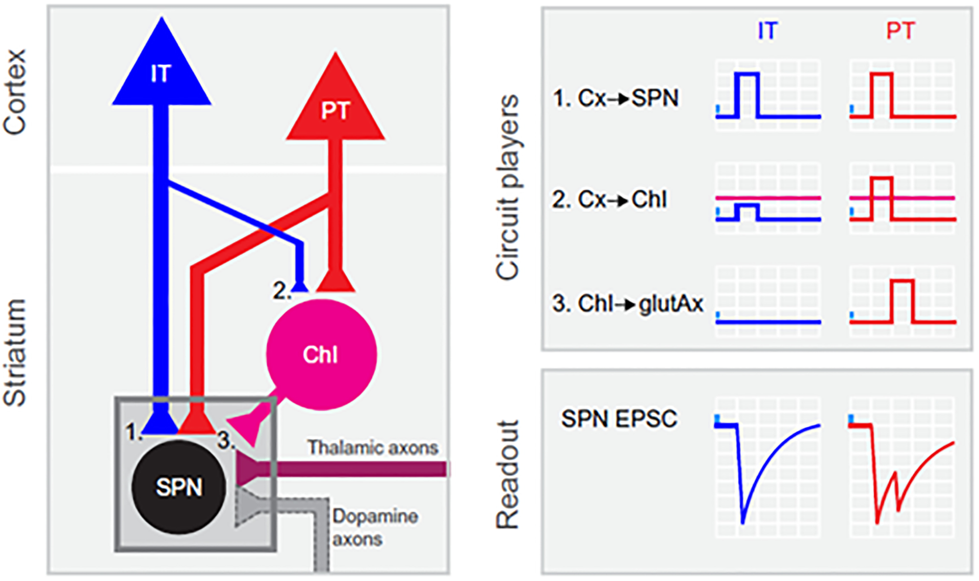 Figure 2: