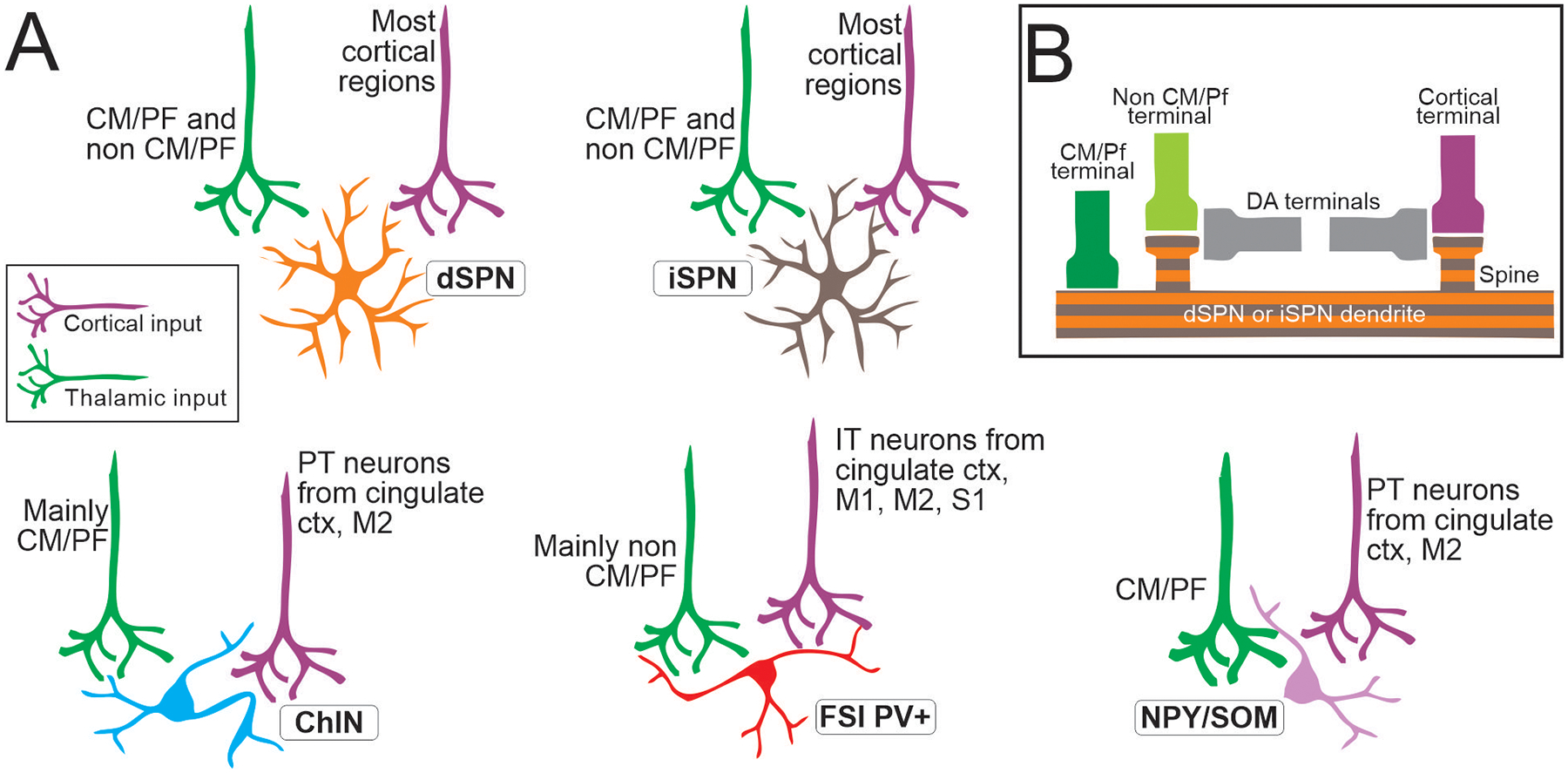 Figure 3: