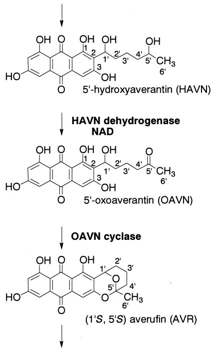 FIG. 4.