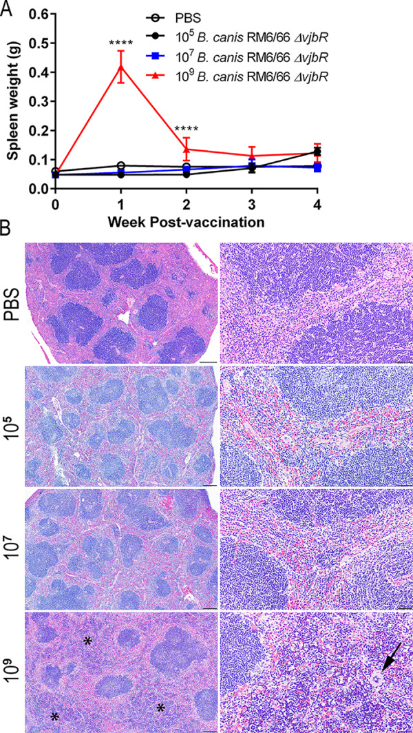 FIG 2