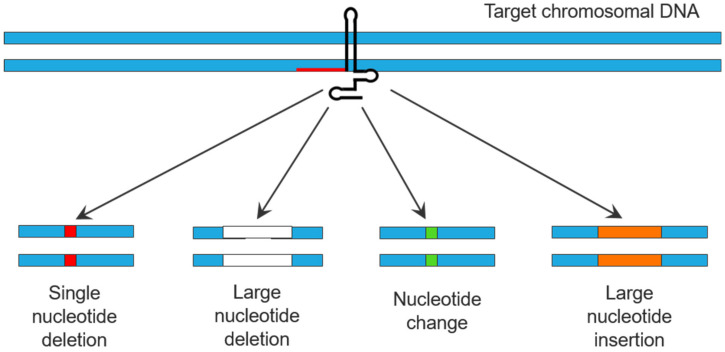 Figure 9