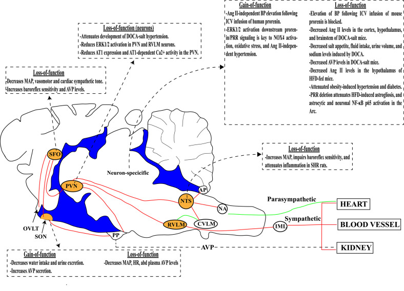 Fig. (1)