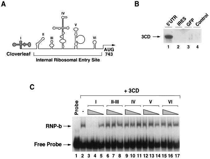 FIG. 6