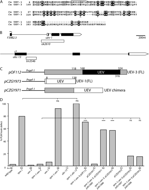 Figure 5.—