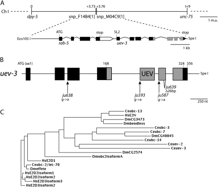 Figure 1.—