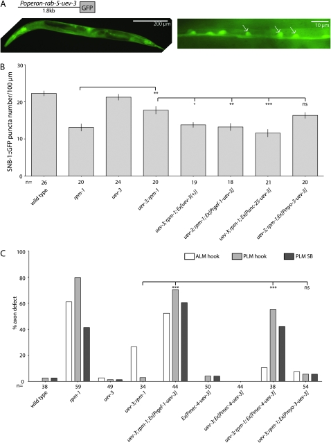 Figure 3.—