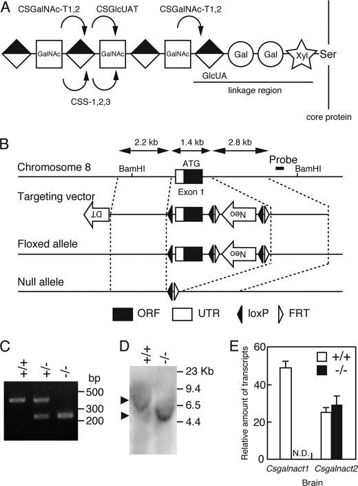 FIGURE 1.