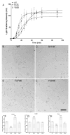 FIG 6