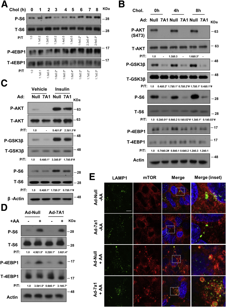 Figure 6