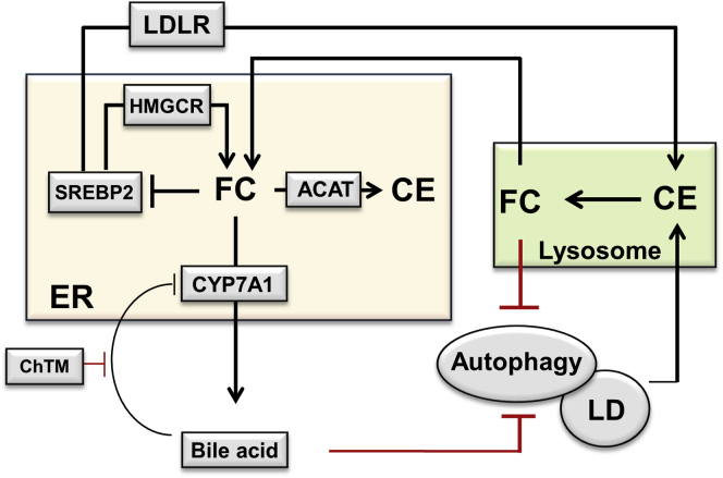 Figure 10