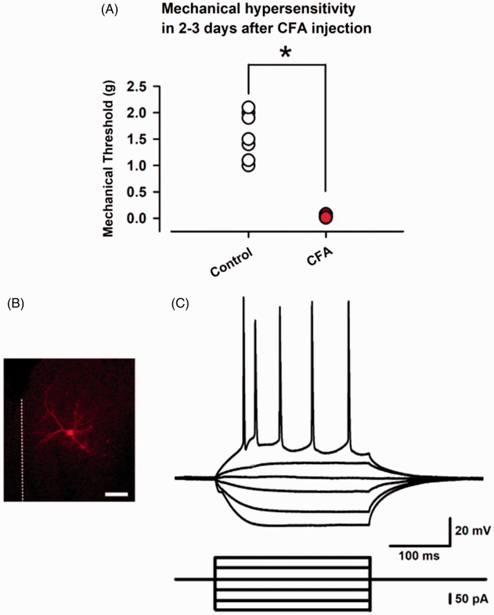 Figure 1.