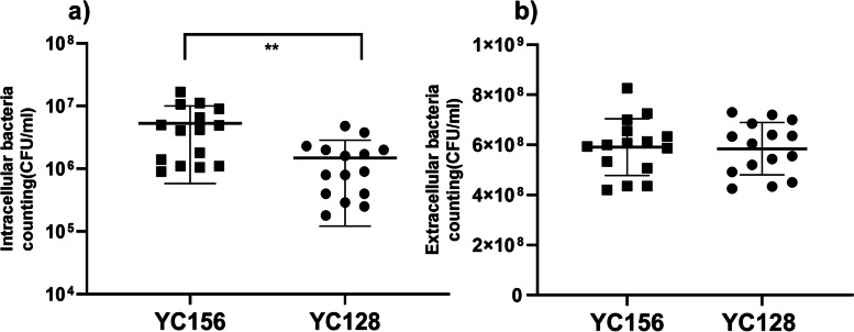 Fig. 6