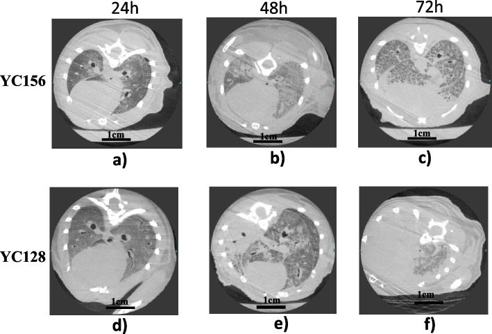 Fig. 4