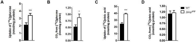 Fig 5