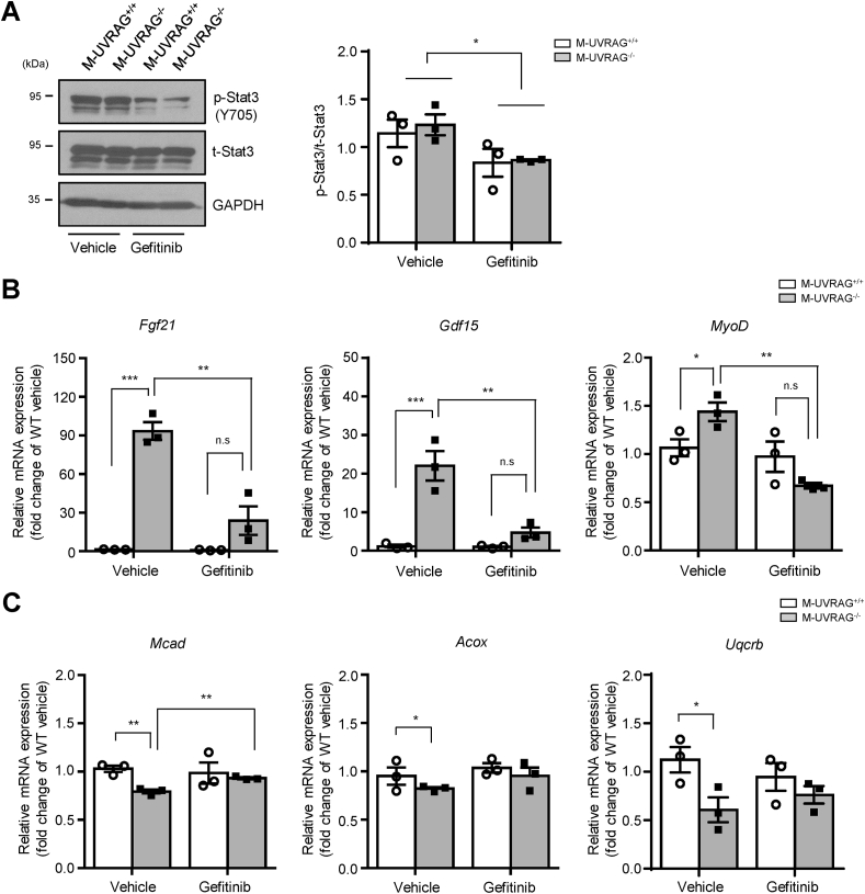 Figure 6