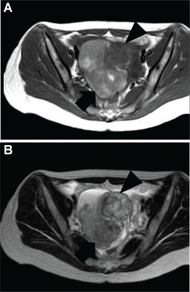 FIGURE 1