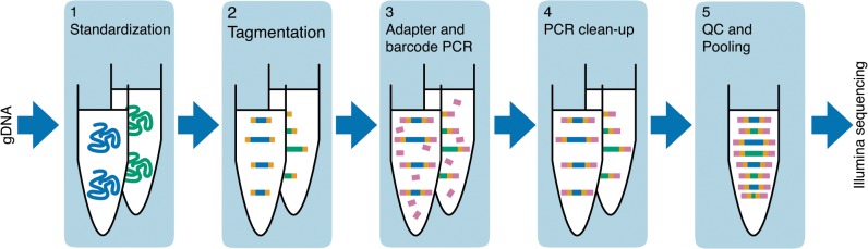 Fig 1