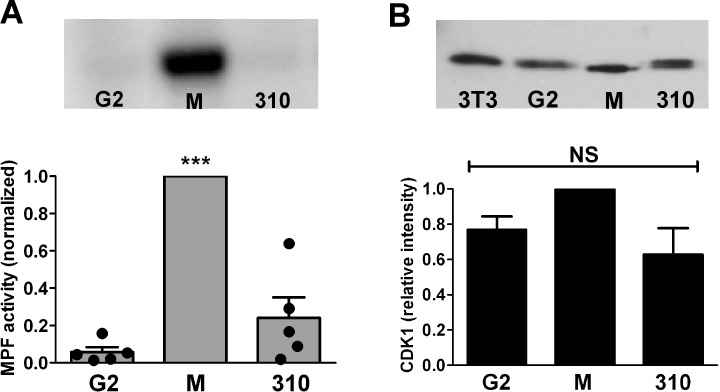 FIG. 10.