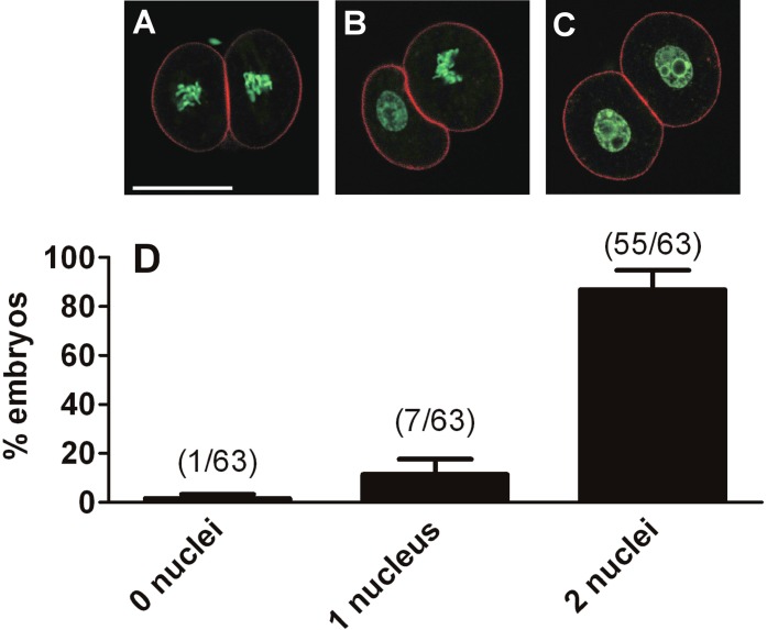 FIG. 8.