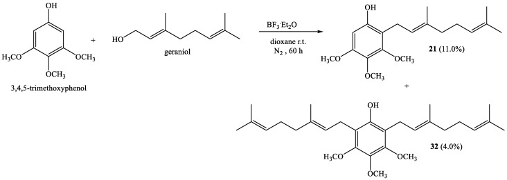 Scheme 4